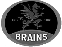 Brains - Copy